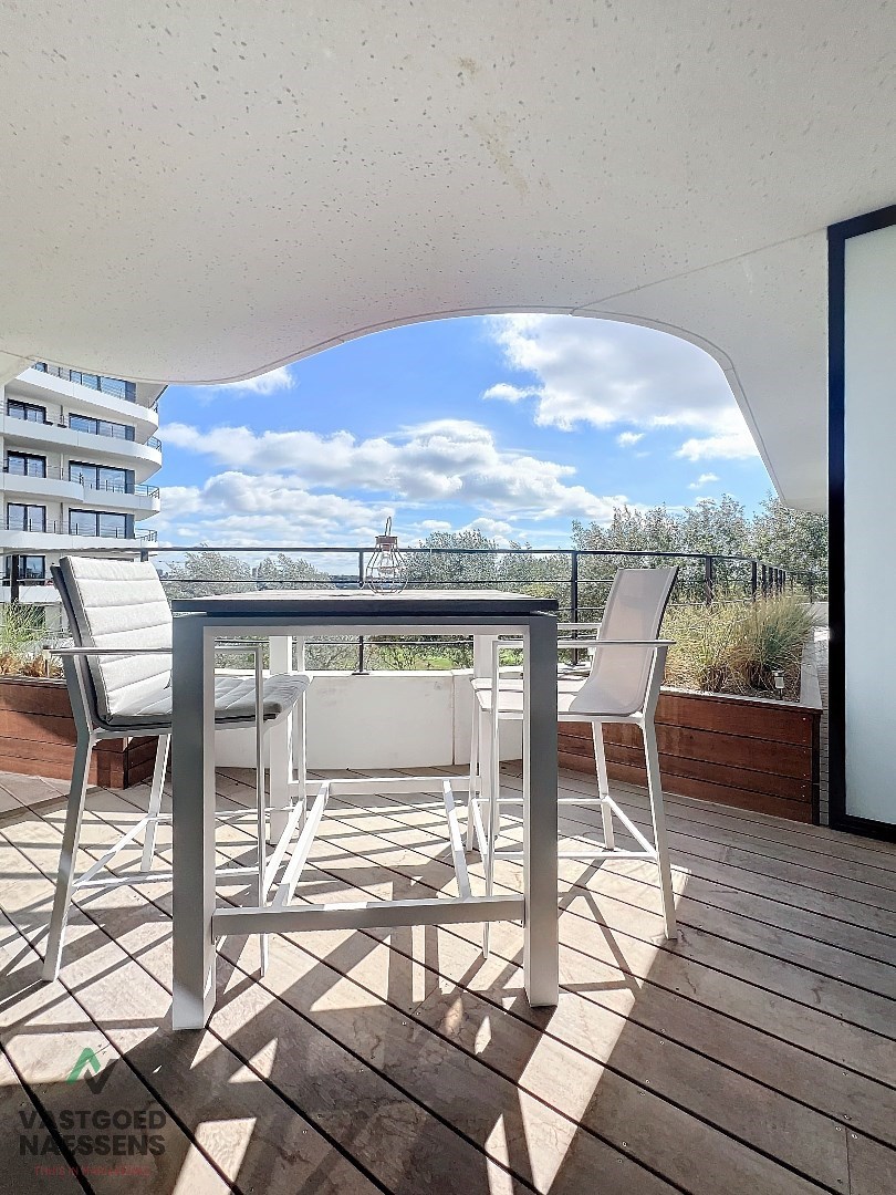 MAGNIFIQUE APPARTEMENT 1 CHAMBRE TERRASSE ENSOLEILLEE 