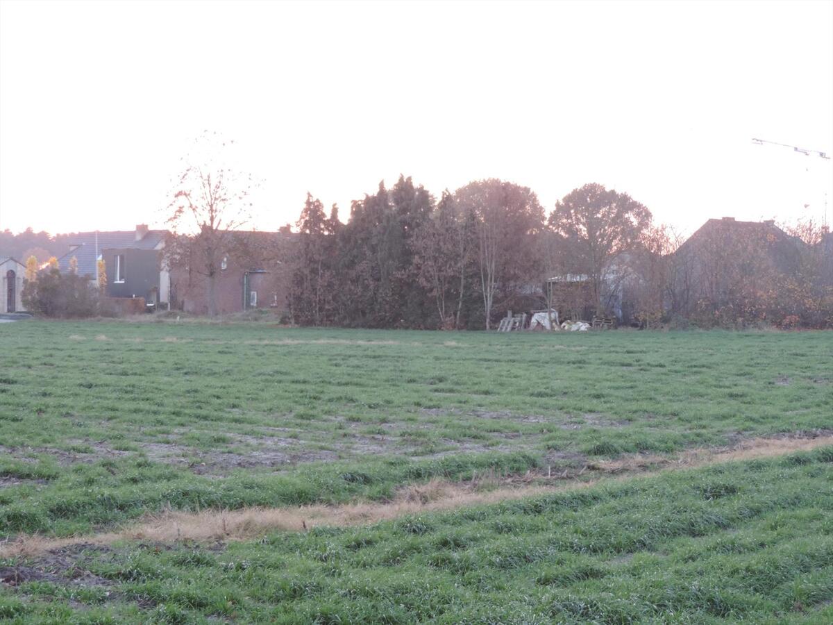 Farm sold in Hechtel-Eksel