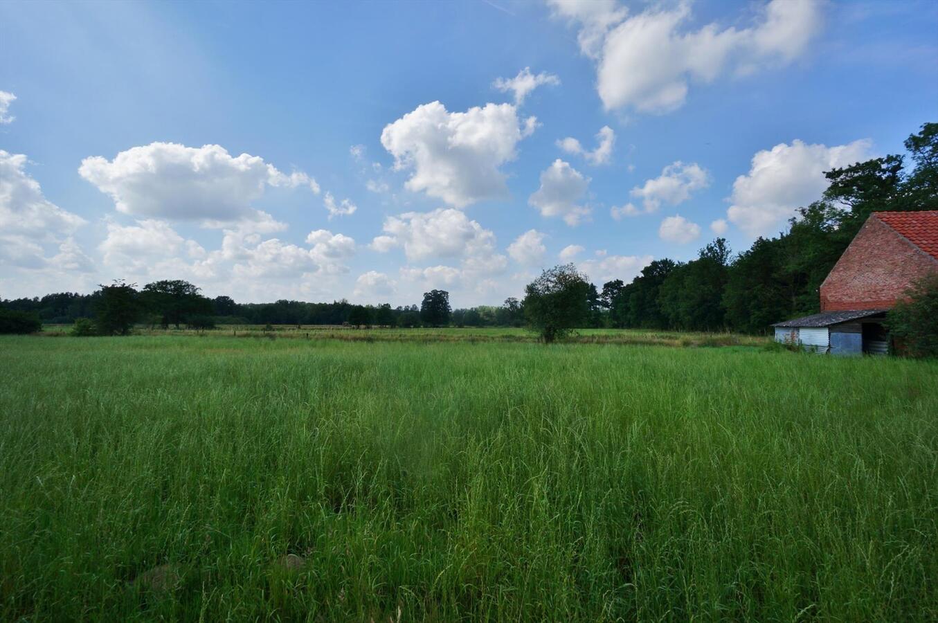 Te renoveren boerderij op unieke locatie op ca. 10ha te Diest 