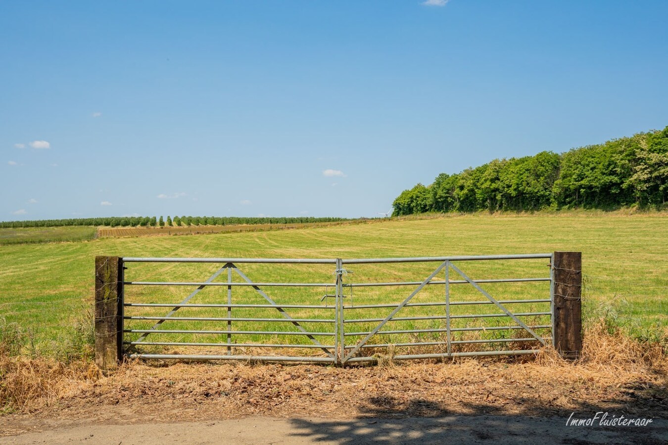 Pasture land sold in Tielt-Winge