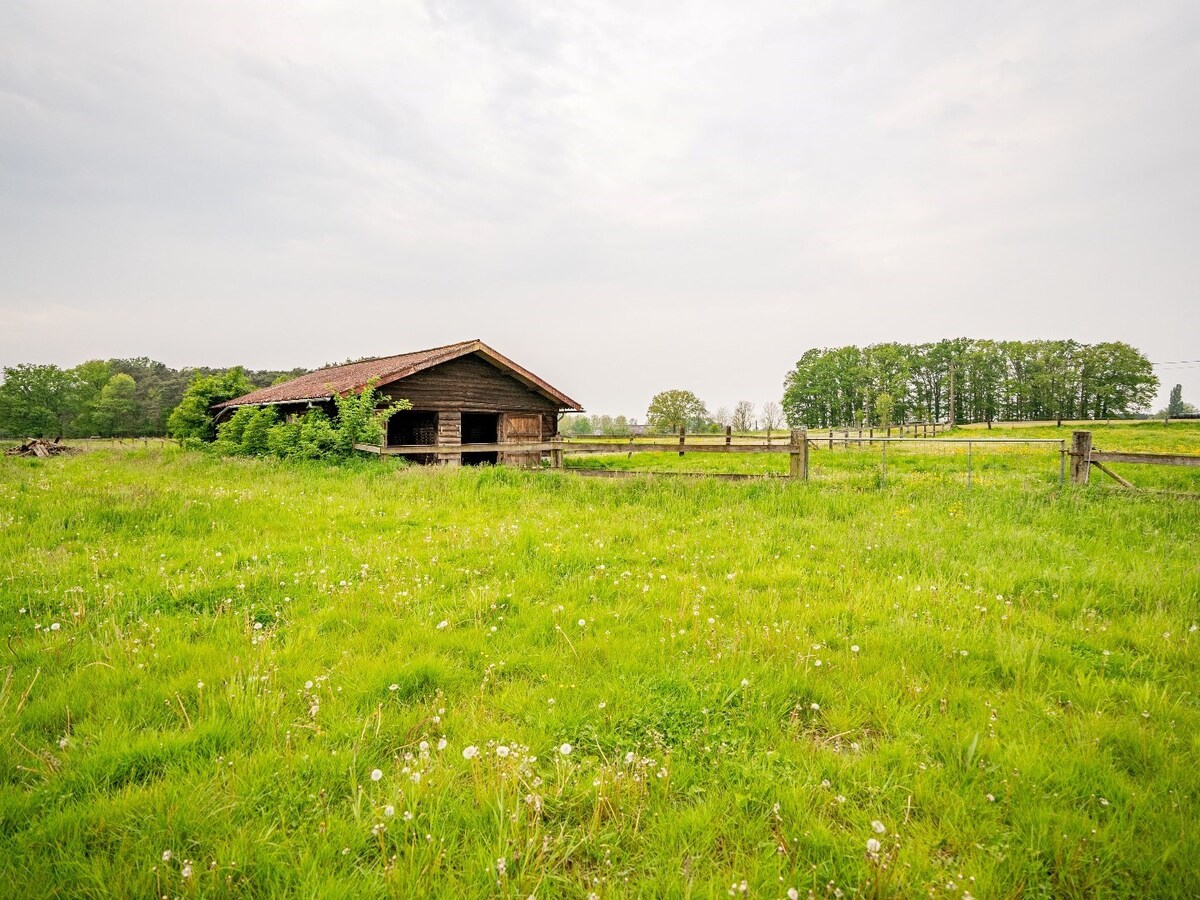 Prachtige stoeterij op ca. 5,2 ha te Herselt 