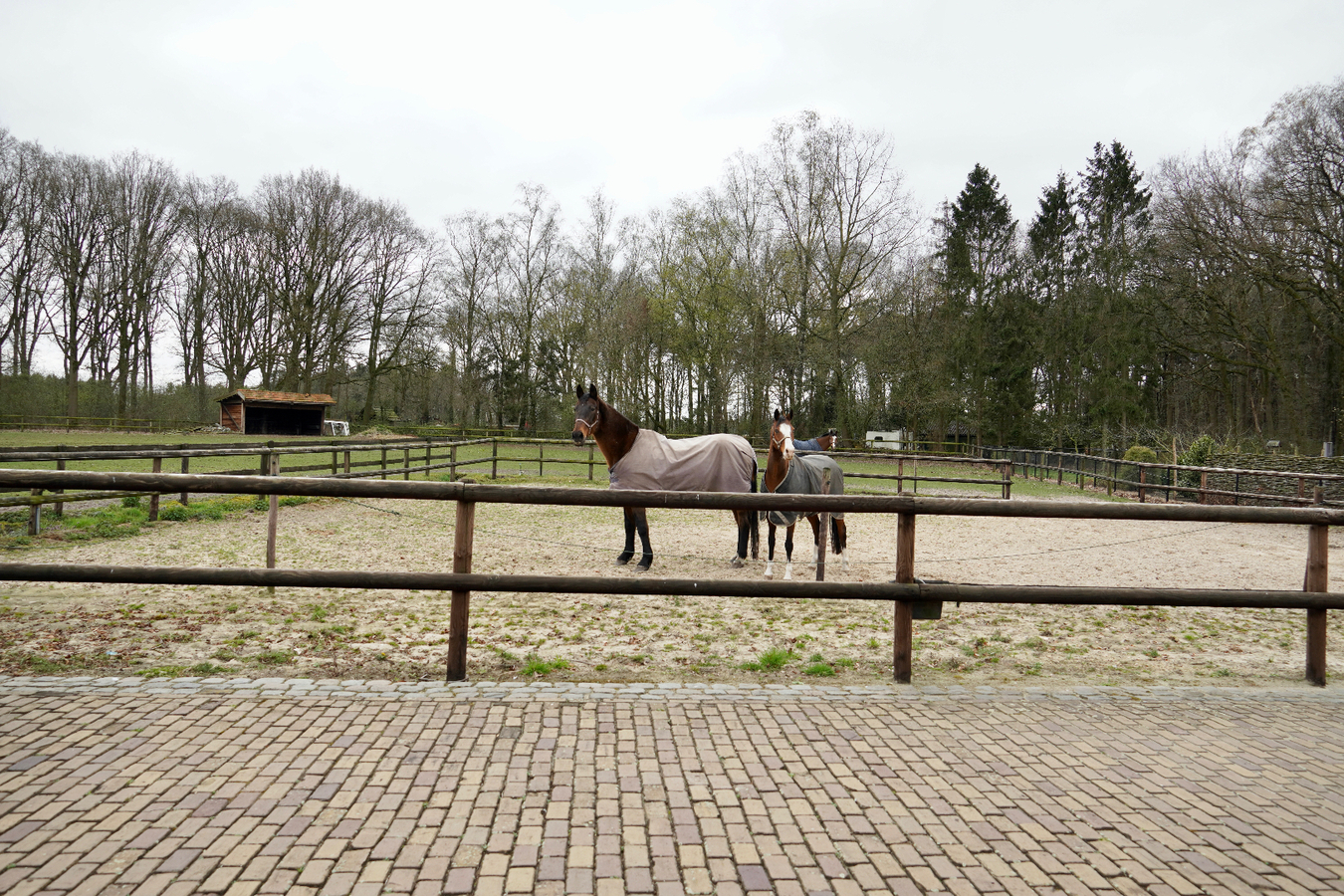 Charmante woning met stallen en aanhorigheden te Poppel op 1,1ha 