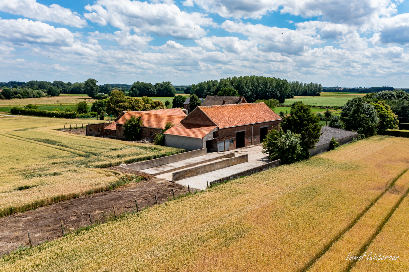 Landelijk gelegen vierkantshoeve op ca. 1ha (uitbreiding met ca. 6ha mogelijk) te Binkom (Lubbeek/Vlaams-Brabant) 