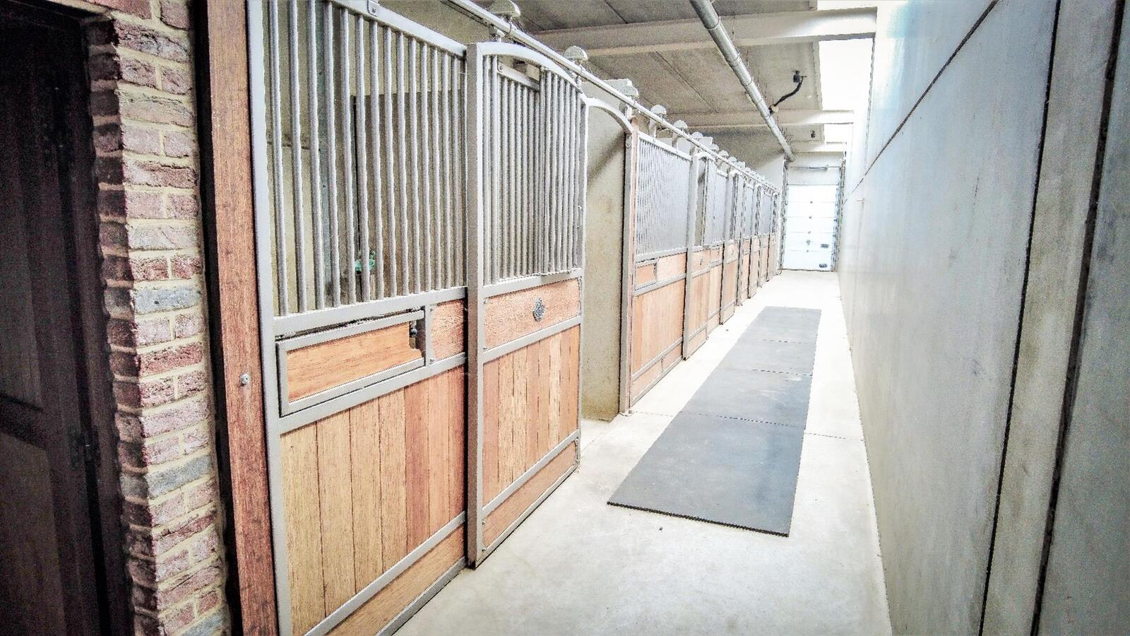 Exclusive professional equestrian center on more than 16ha at Rebecq (Walloon Brabant; Brussels; Belgium) 