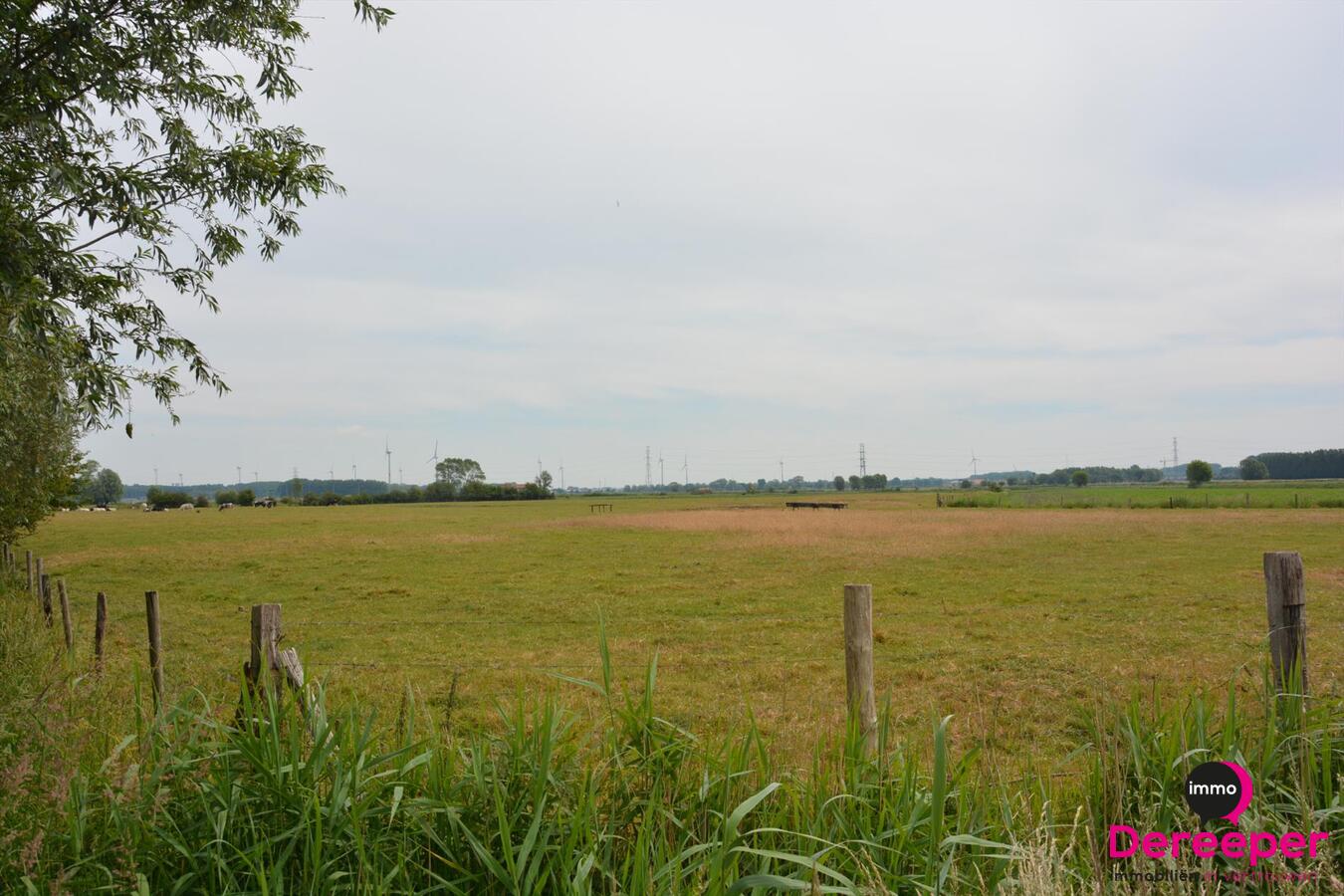 Verkocht - Weiland - Zuienkerke