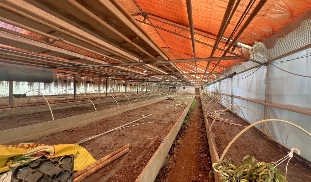 Agrarische grond met serres te koop in Merelbeke