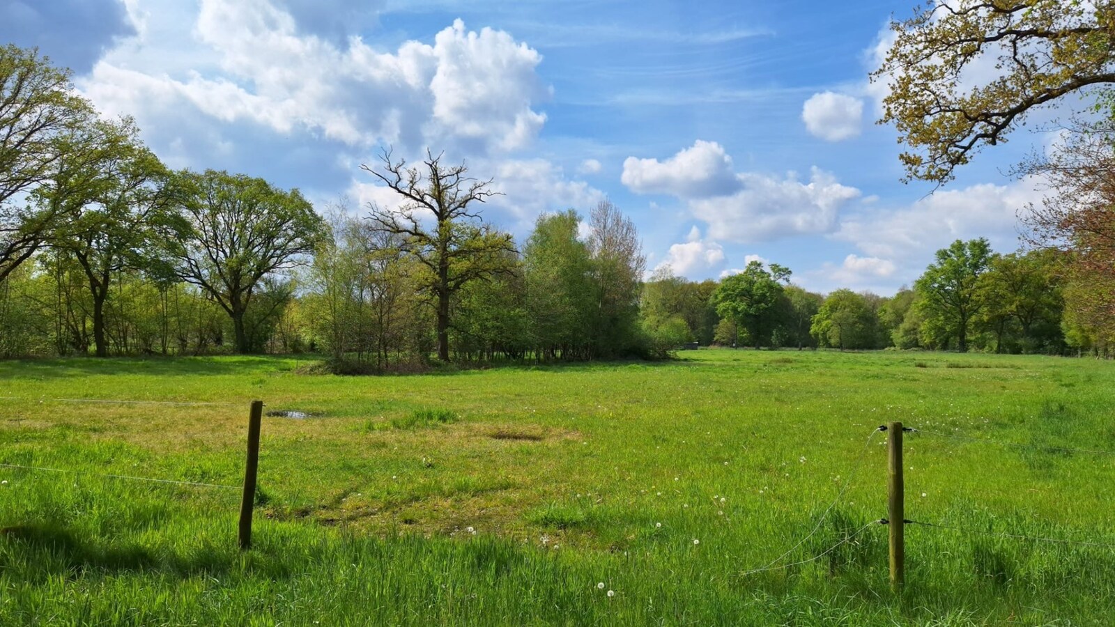 Weiland met schuilstal op ca. 1,32 ha te Neeroeteren 