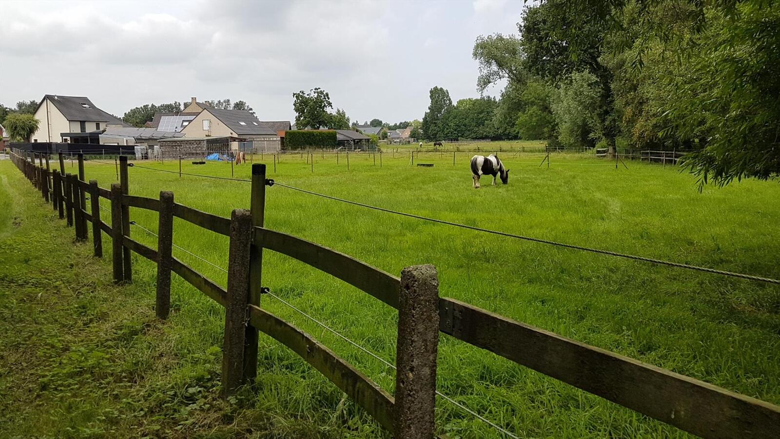 Stijlvol gerenoveerde woning met stallen op +/-40a te Neeroeteren 