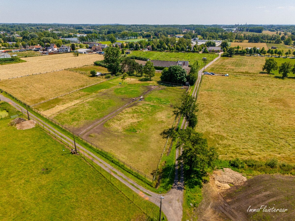 Paardenaccommodatie met woning op ca. 80a te Duffel (Optioneel bij te kopen weilanden van ca. 3 ha) 