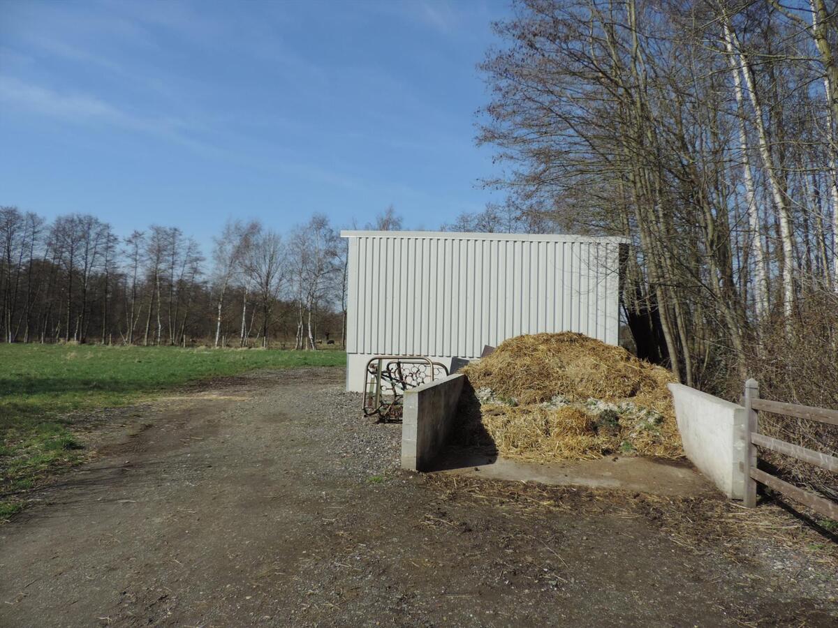 Prachtige gezinswoning met paardenstallen en buitenpiste op ca. 2,61ha te Lummen 