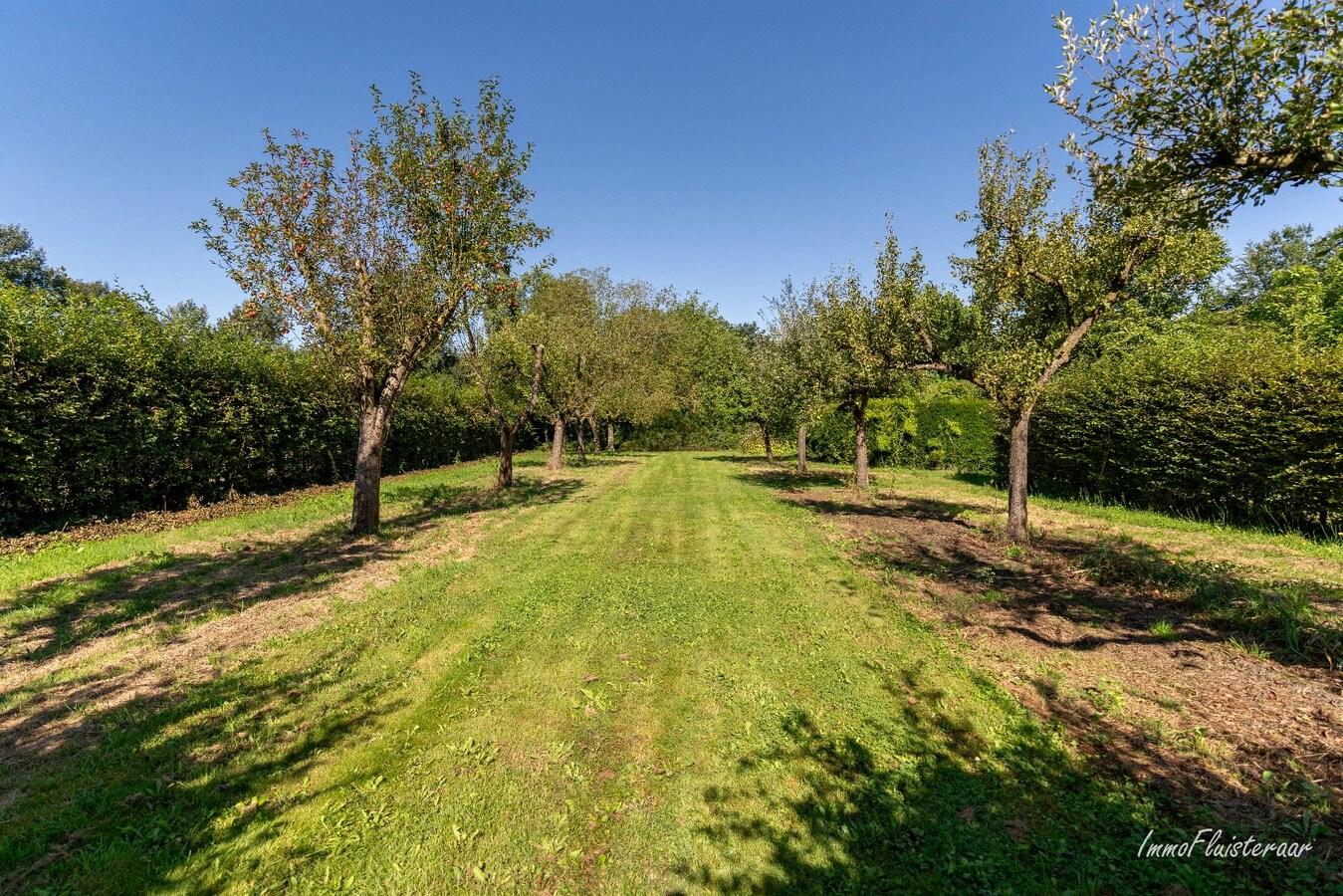 Magnifique villa avec d&#233;pendances et serres sur environ 5 hectares &#224; Itegem 