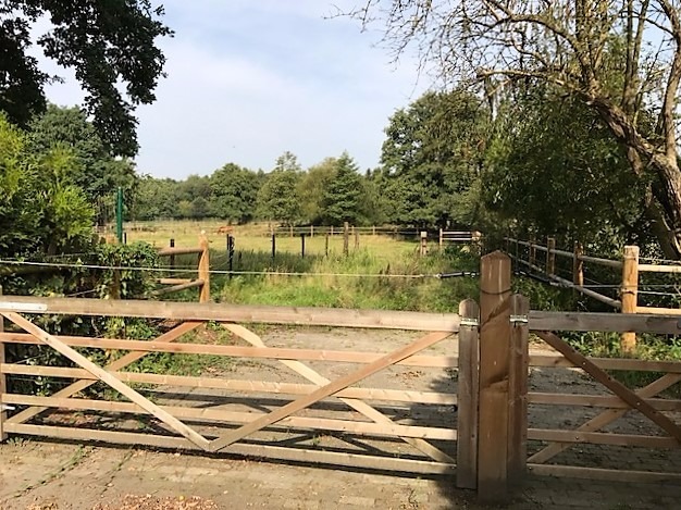 Gezinswoning met grote garage en stallen op ca. 92are te Heusden-Zolder 