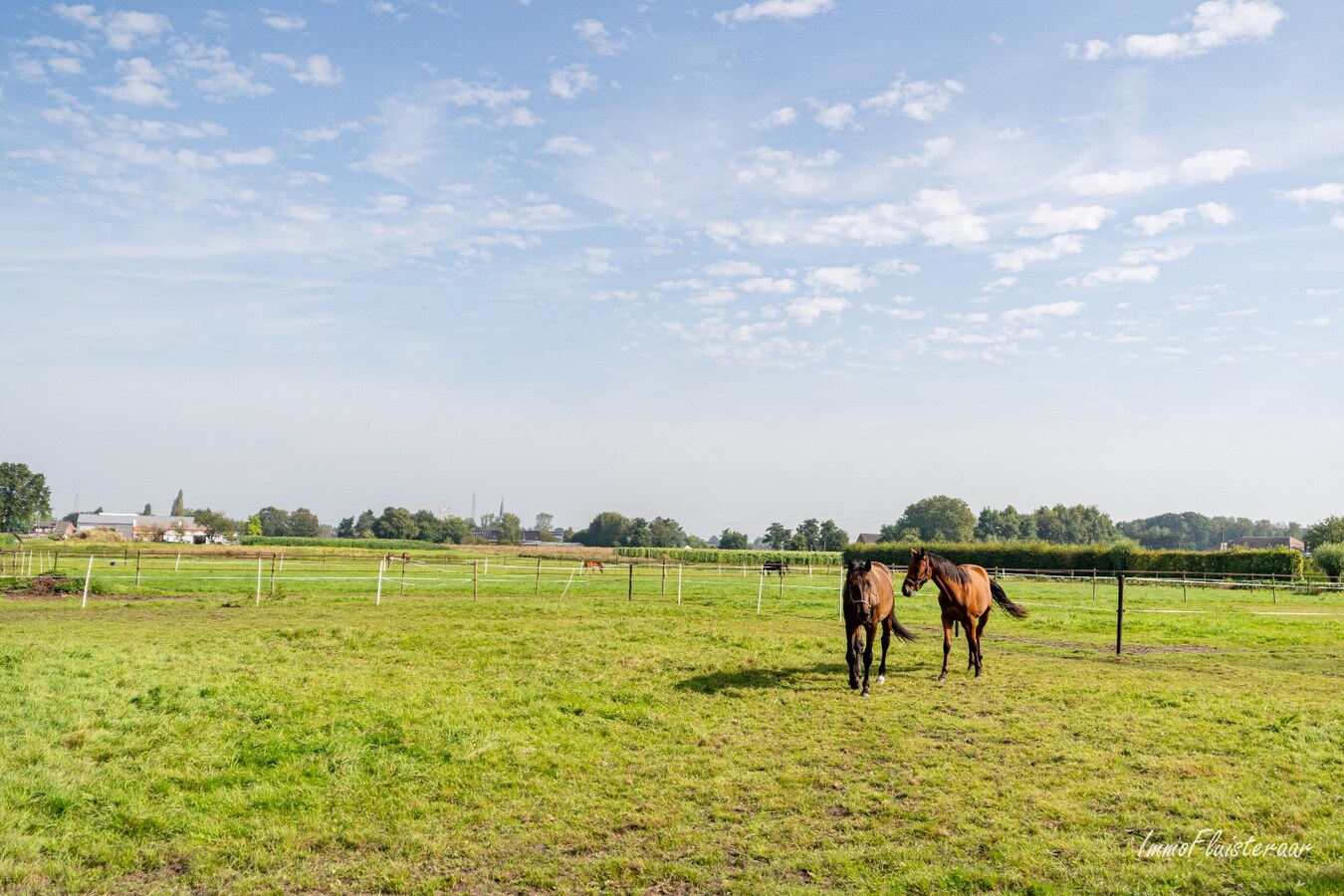 Semi-open house with stables, arena, and pastures on approximately 1.5 hectares in Sint-Katelijne-Waver (Optional to buy additional pasture of approximately 1 hectare) 