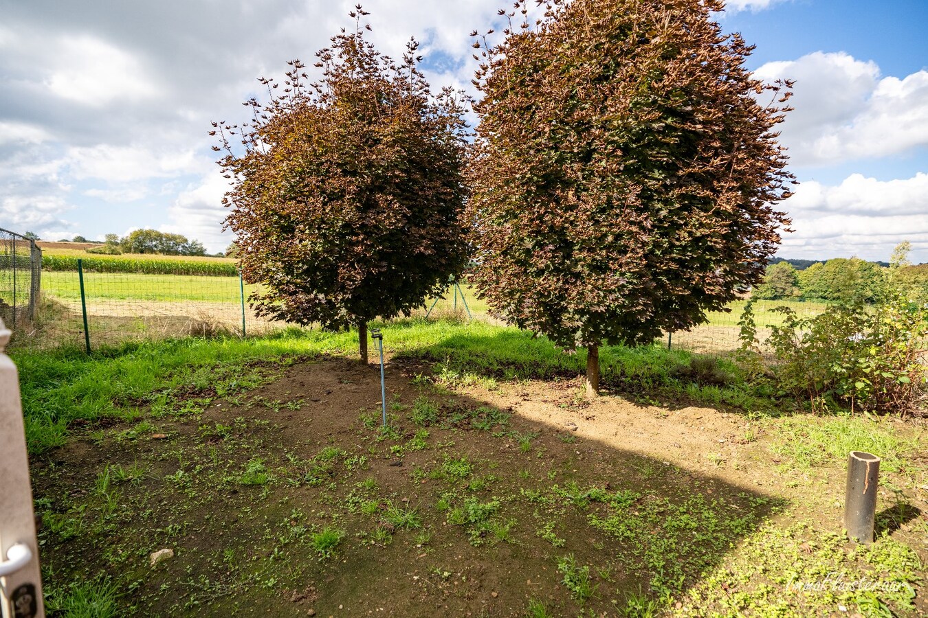 Charming renovated house with various outbuildings on approximately 1.9 hectares in Bekkevoort. 