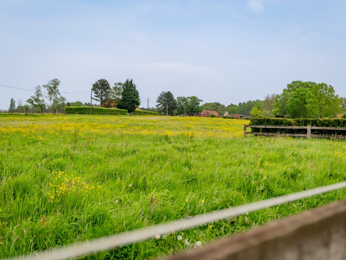 Prachtige stoeterij op ca. 5,2 ha te Herselt 