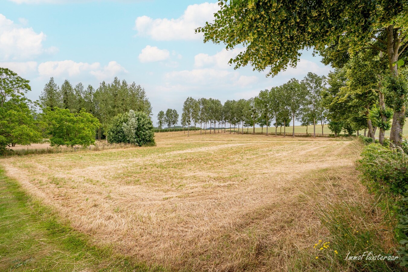 Charmante vierkantshoeve met veel potentieel op ca. 3,14 ha te Tongeren 