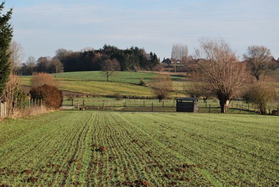 Hoeve met 10 stallen op 2,17 ha 