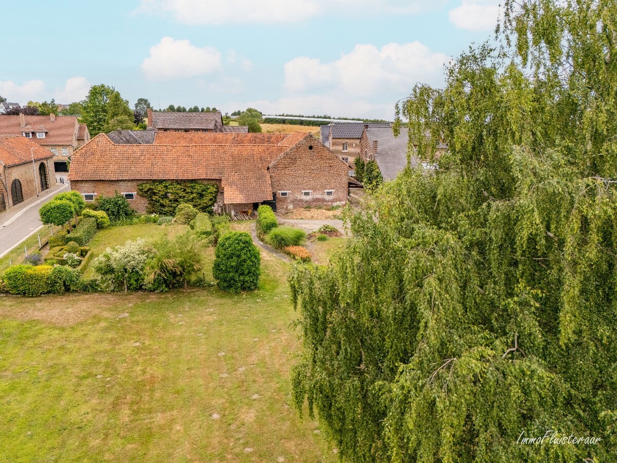 Charmante vierkantshoeve met veel potentieel op ca. 3,14 ha te Tongeren 