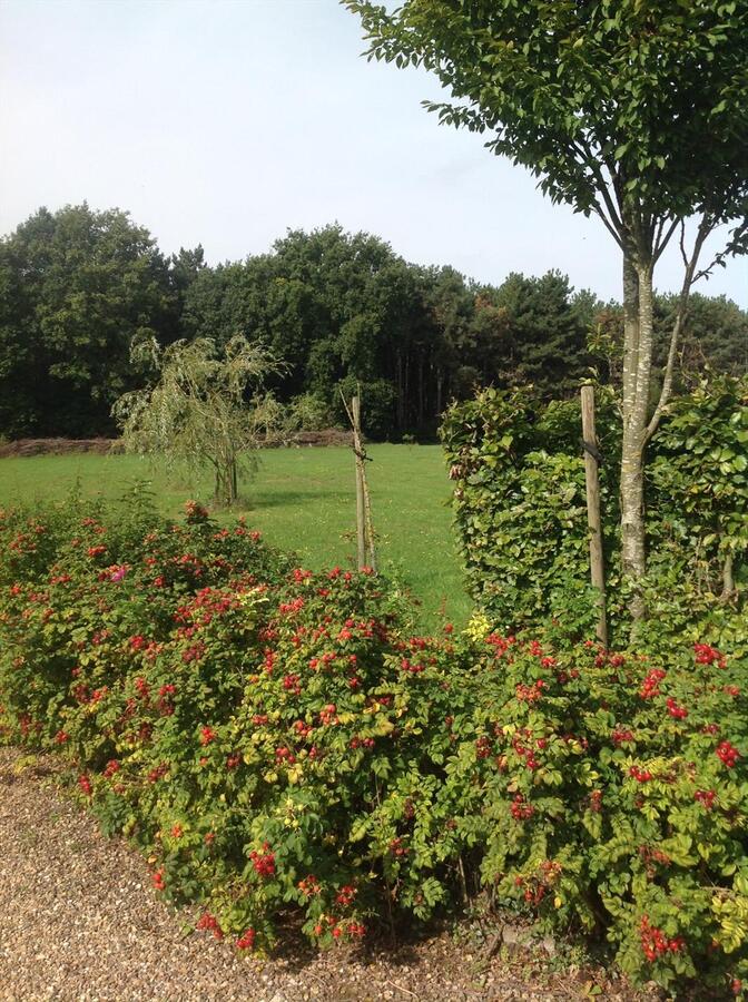 Gezellige hoeve met paardenstallen op ca. 68 are te Kinrooi 