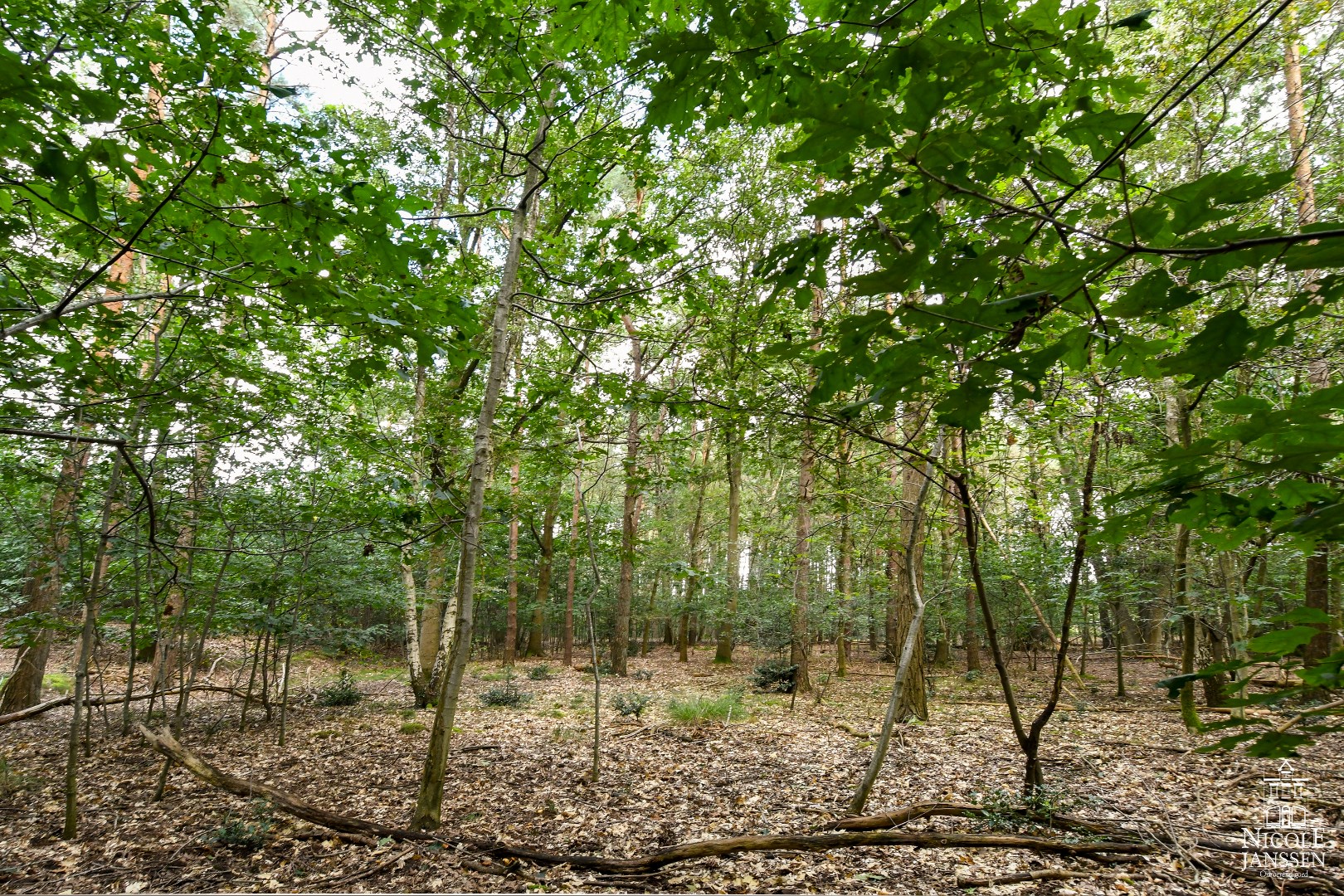 Ideaal pand voor de echte natuurliefhebber