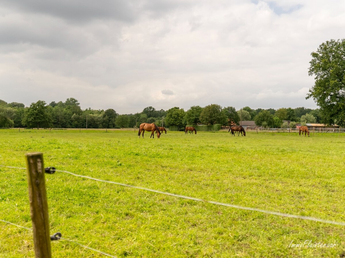 Spacious house with stable building and pastures on approximately 3.8 hectares in Berlaar. 