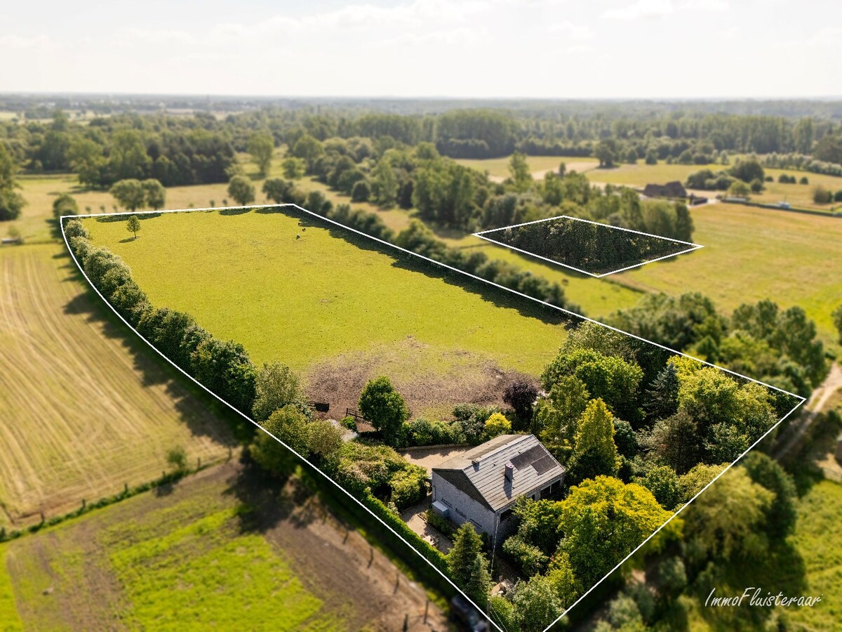 Magnifique maison avec vue sur les prairies et les for&#234;ts sur environ 3,5 hectares &#224; Heist-op-den-Berg 