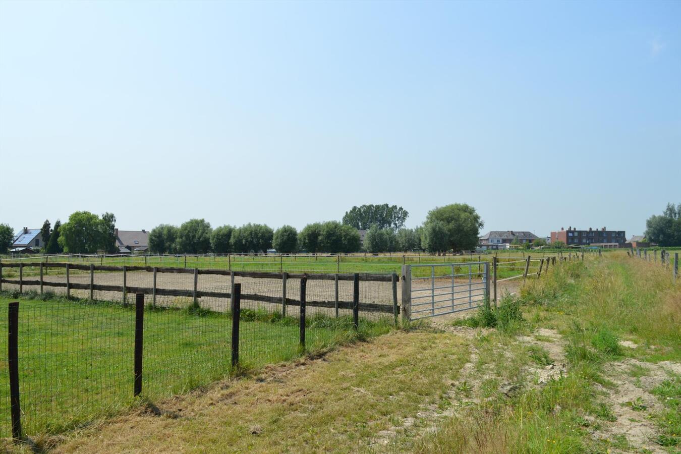 Gerenoveerde woning op ca. 6500m&#178; te Buggenhout 