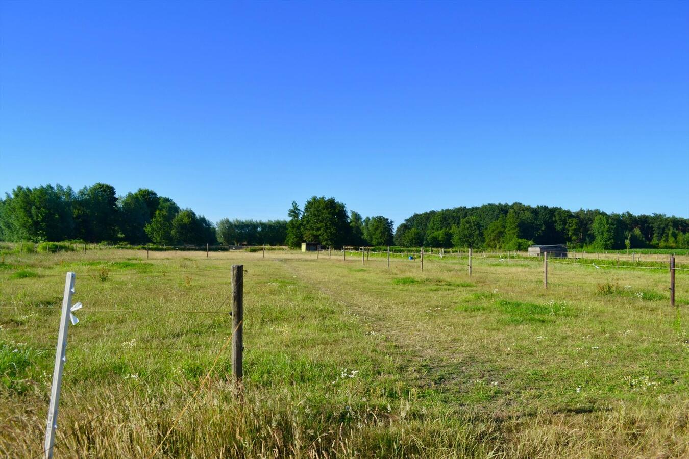 Unieke kans op paardenaccommodatie met binnenpiste (15m x 30m) en appartement op ca. 1,3 Ha te Waasmunster - NIEUWE PRIJS 