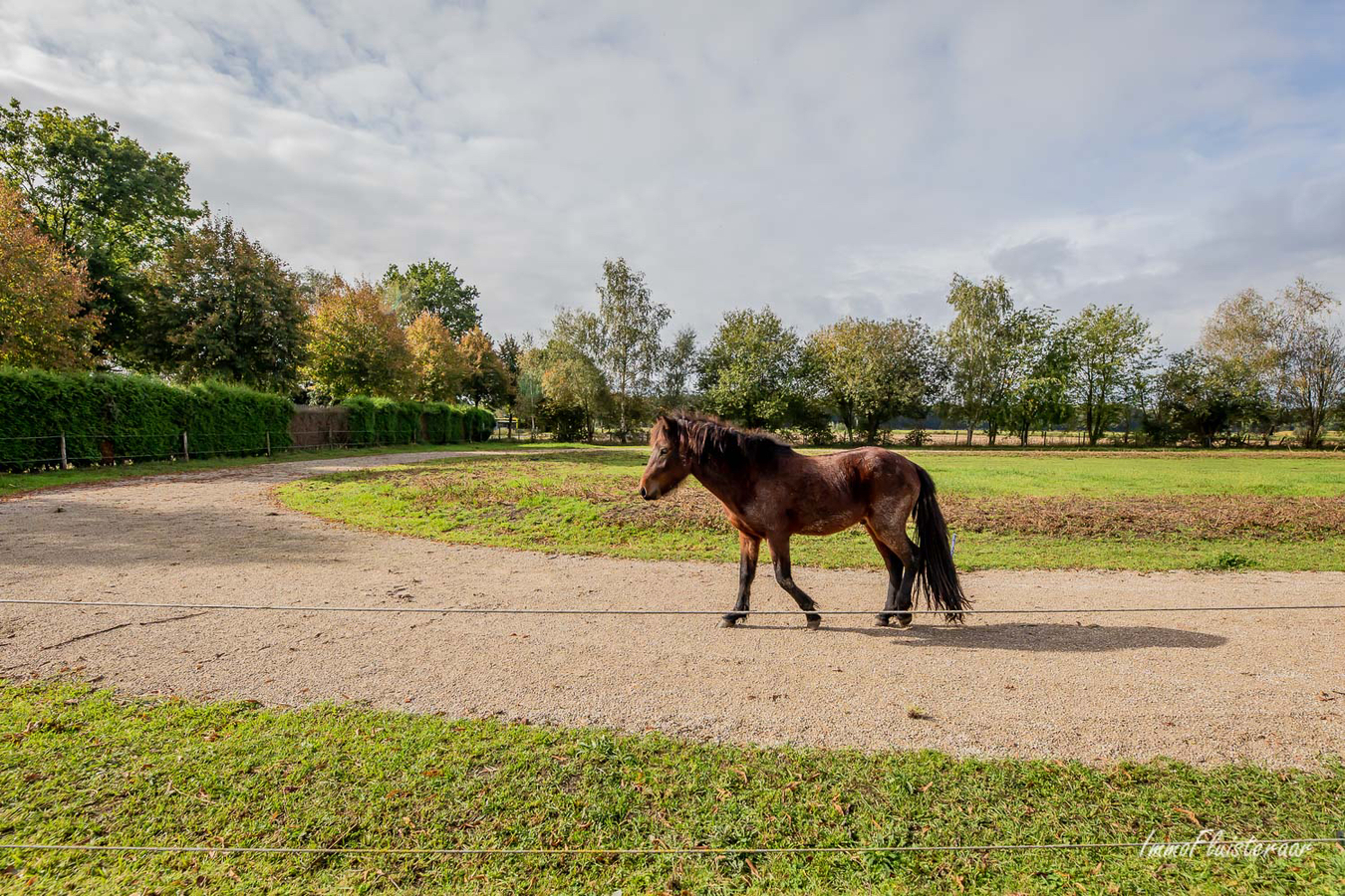 Rustieke woning met paardenfaciliteiten op ca. 1,3Ha te Weelde 