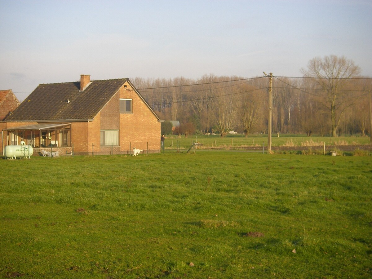 Landelijke woning met 2 stallen op ca. 6310m2 te Ruiselede. 