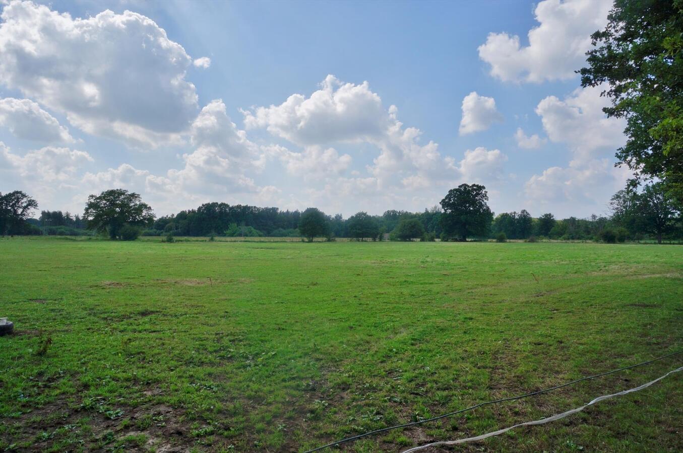 Te renoveren boerderij op unieke locatie op ca. 10ha te Diest 