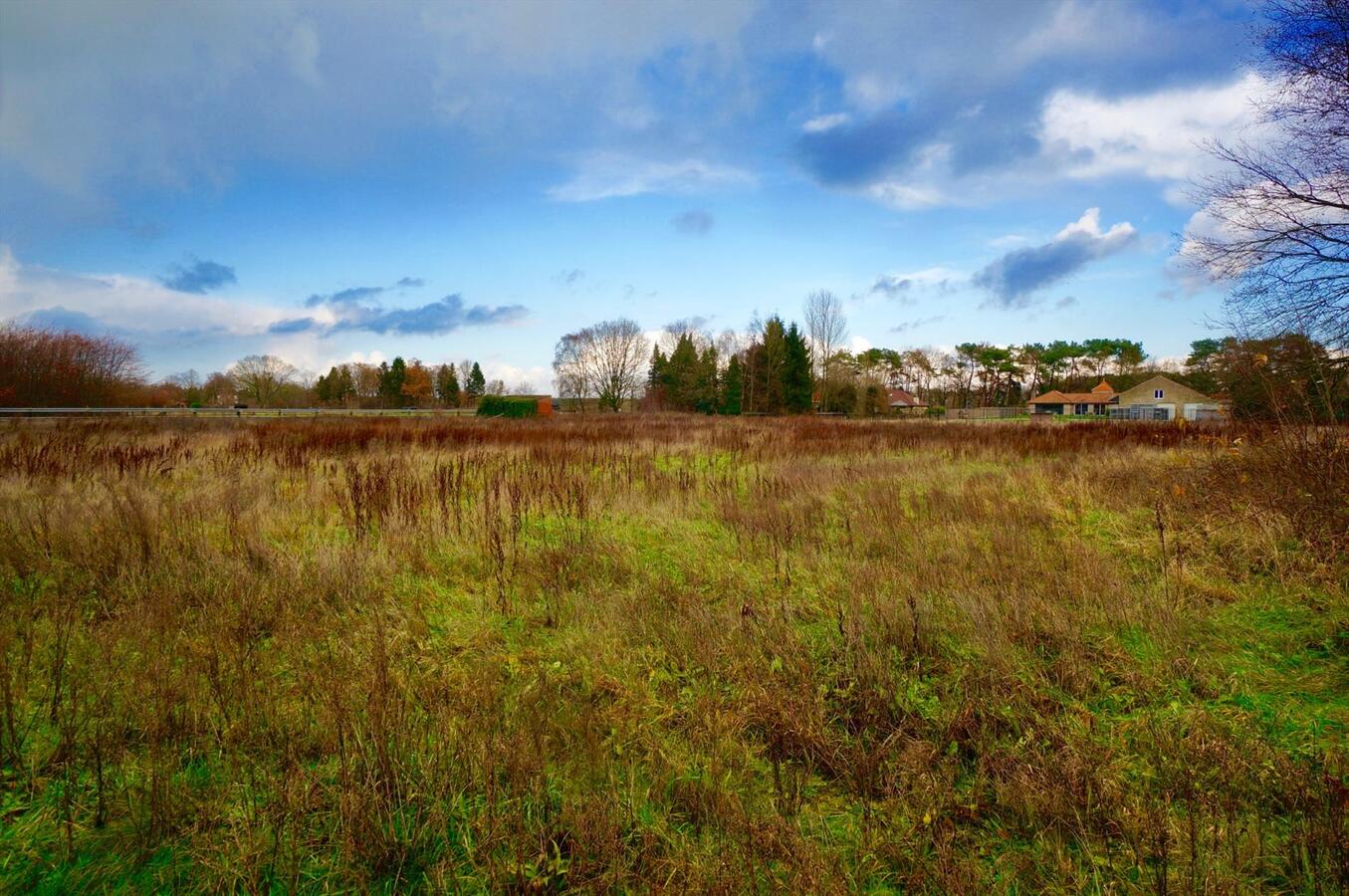 Prachtige bouwgrond op ca. 1,1Ha te Zoersel 