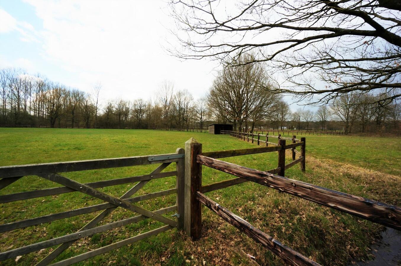 Prachtig landhuis met 8 stallen en buitenpiste op ca. 5,5ha te Haacht 