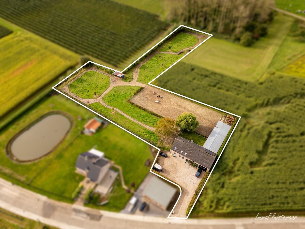 Charmante instapklare woning met paardenfaciliteiten op ca. 75a te Waanrode. 