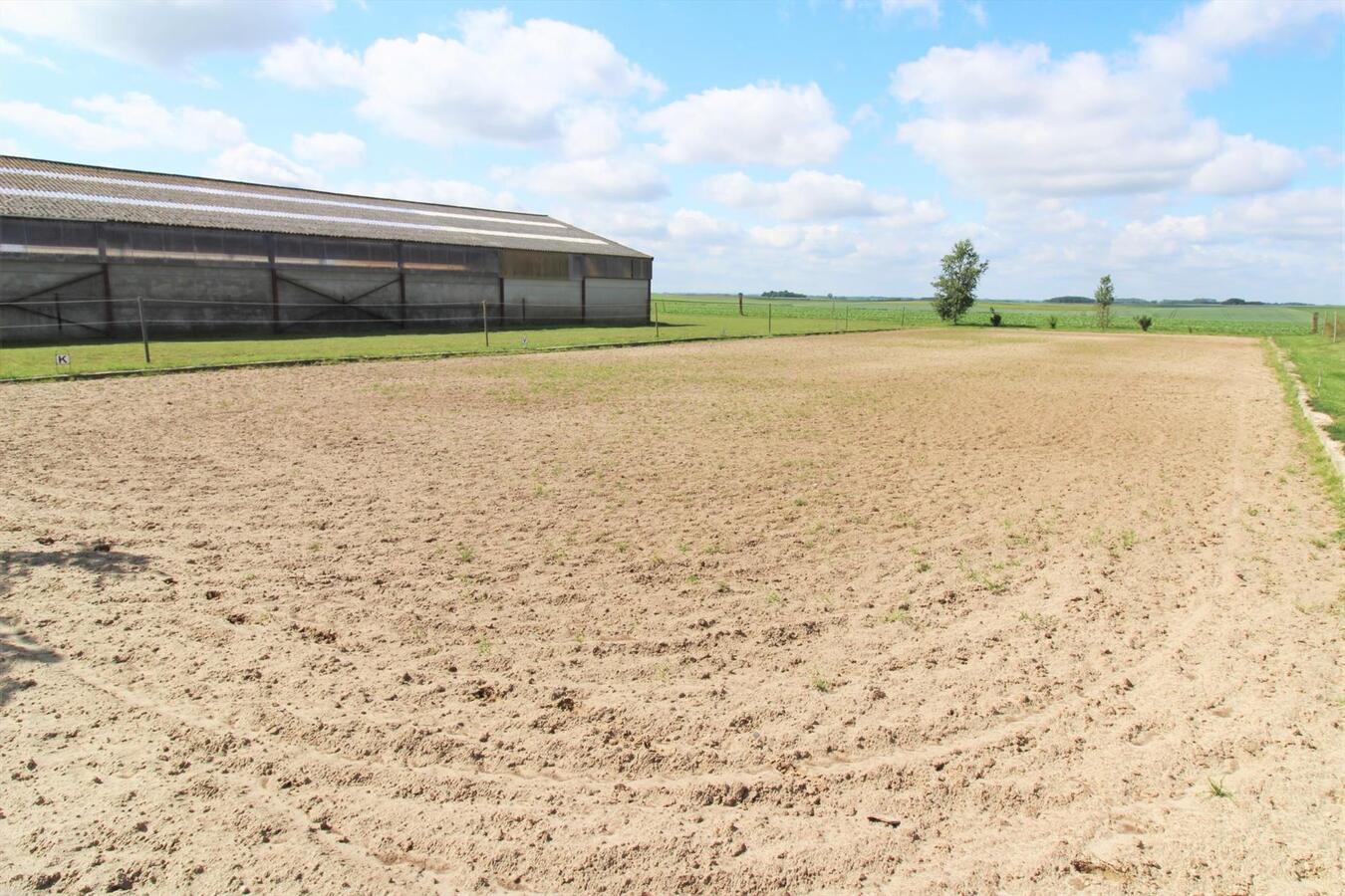 Maison avec centre &#233;questre et appartement suppl&#233;mentaire sur environ 1.3ha &#224; Hannut (Li&#232;ge) 