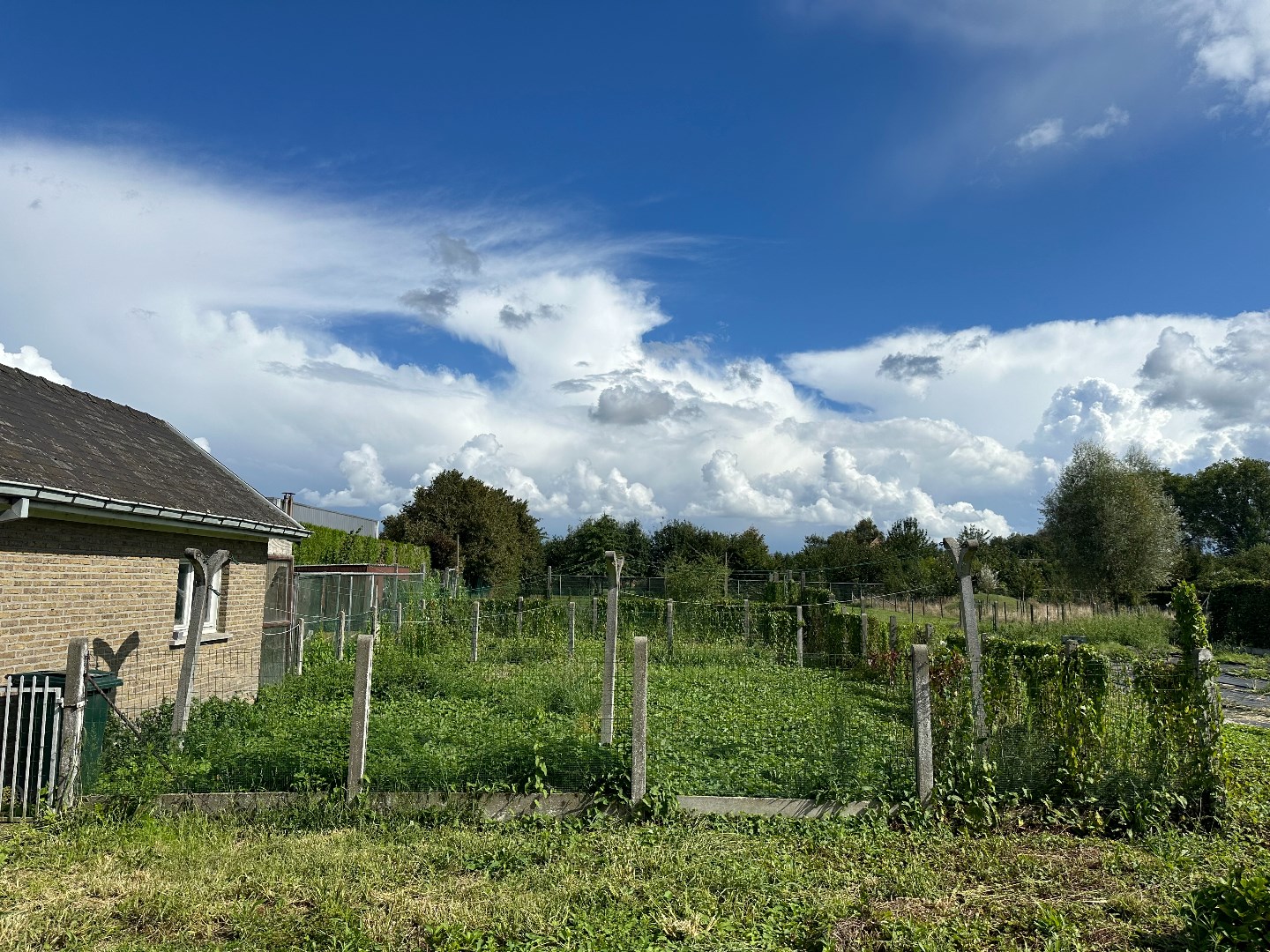 Statige villa op ruim perceel met tal van mogelijkheden 