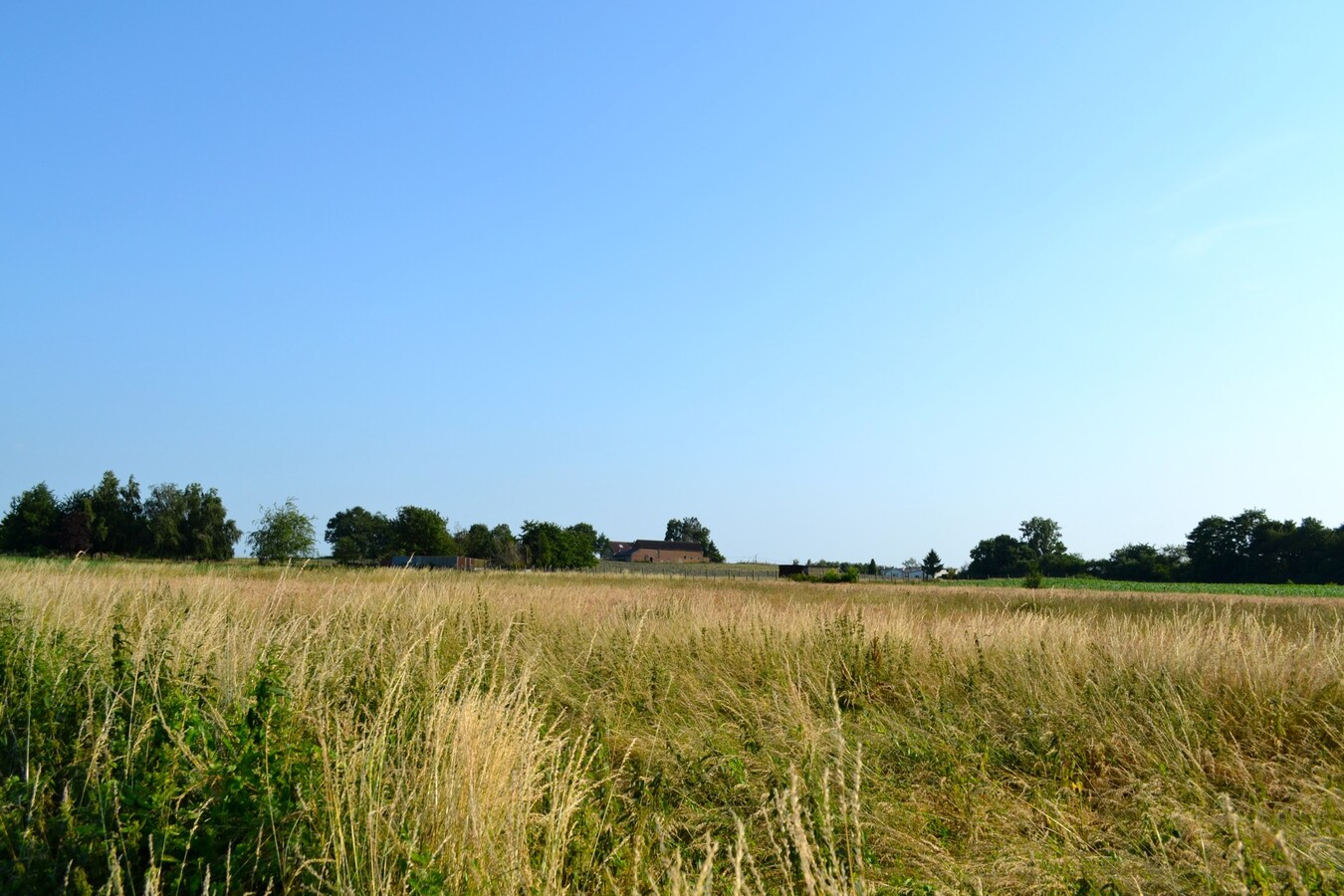 Woonhuis met 3 stallen op ca. 1,3ha te Scherpenheuvel 