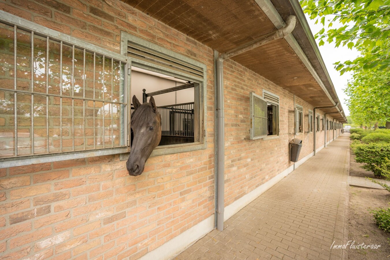 Equestrian Complex &quot;Horsehotel&quot; on approximately 7,2 ha/17,8 acres in &#39;s Gravenwezel (Antwerp) 