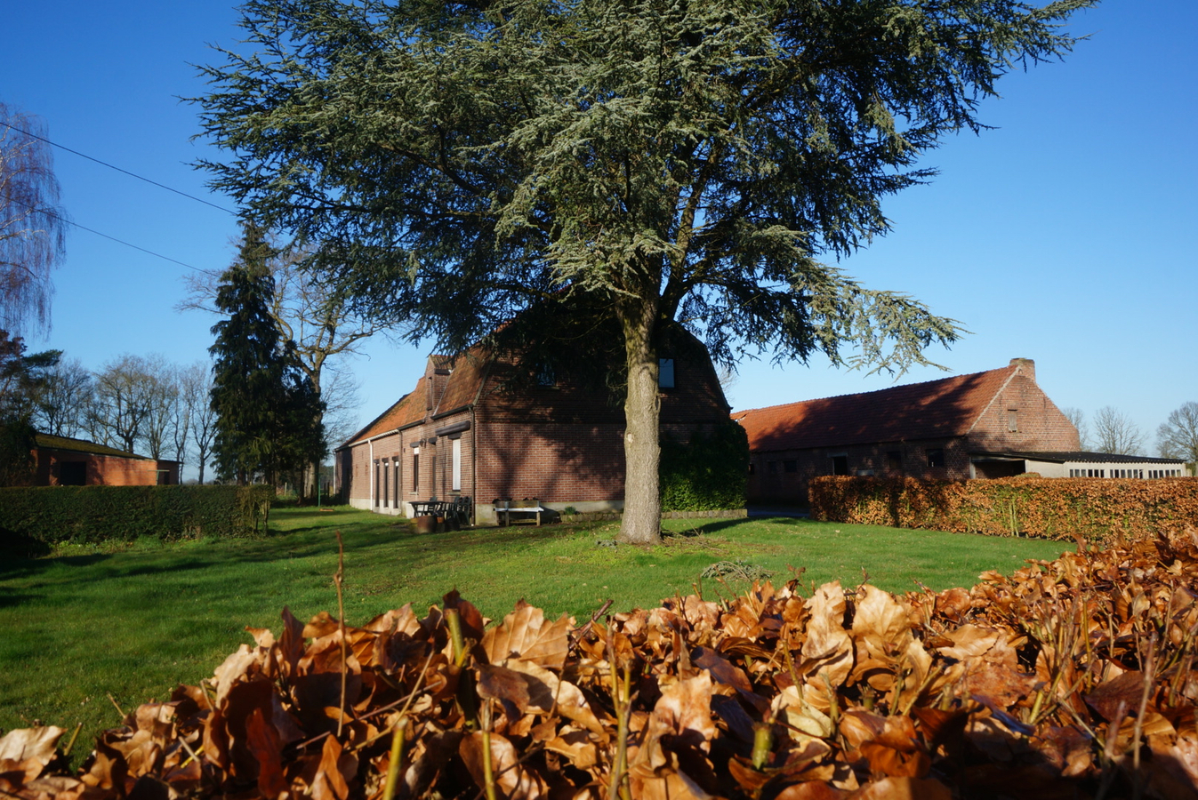 Charmante hoeve te Peer op ca. 4ha30a (VERKOCHT VOOR PUBLICATIE!) 