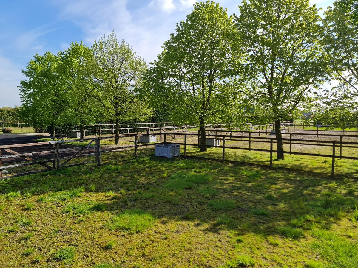 Luxurious country house with equestrian facilities on appr. 3.4 ha (option to purchase adjacent meadows of appr. 3,5 ha and 1,6 ha) 