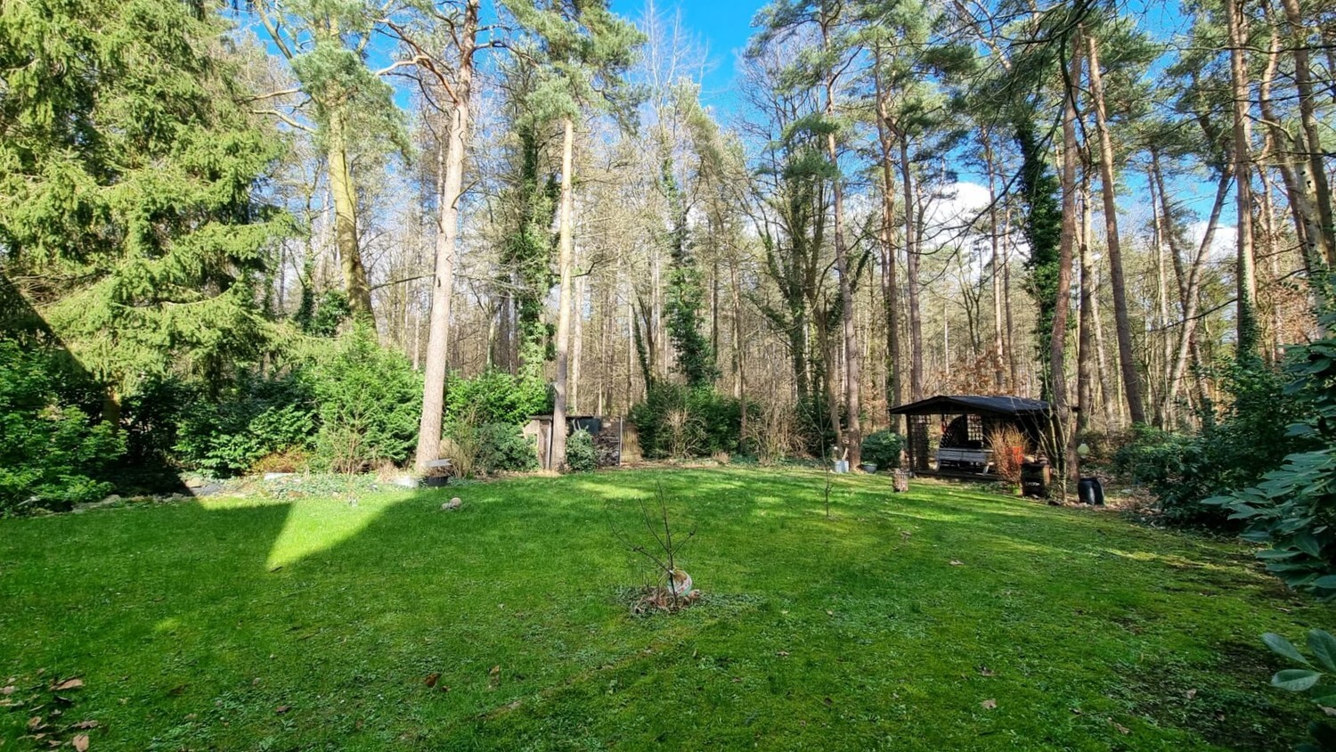 Instapklare bungalow midden in het groen 