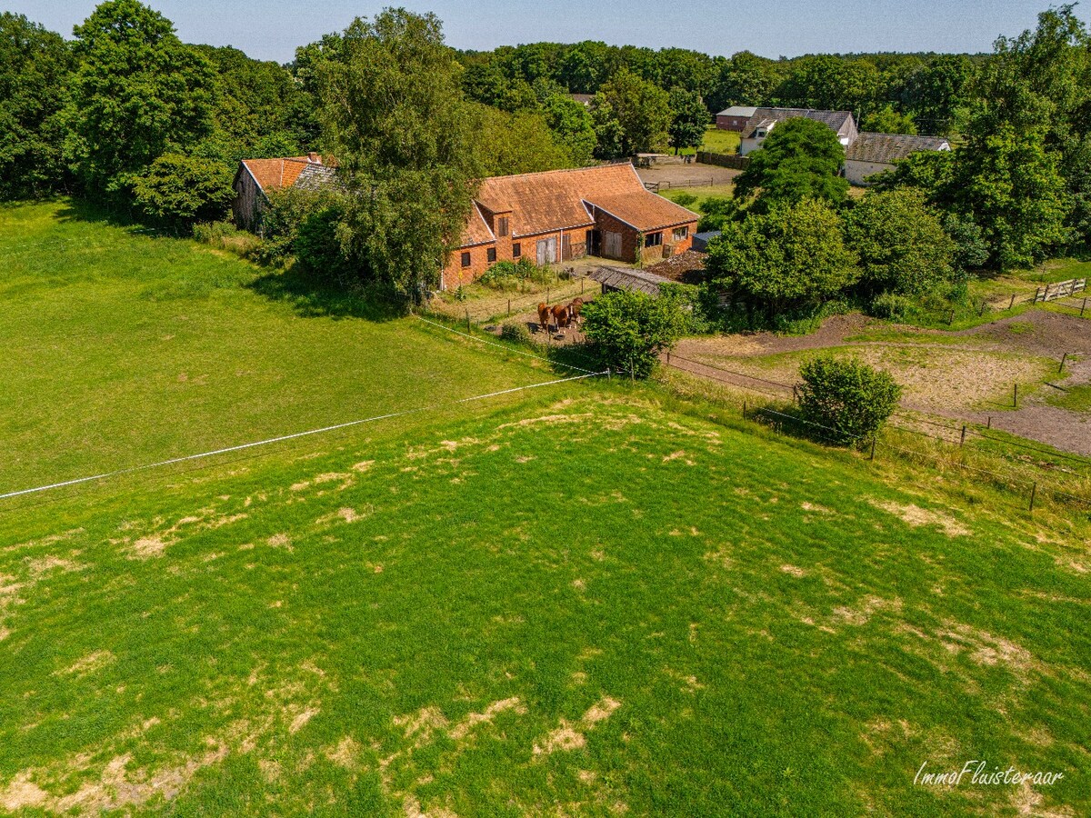 Prachtige hoeve met weilanden en stallen op ca. 2,1 ha te Kaulille (Bocholt) 