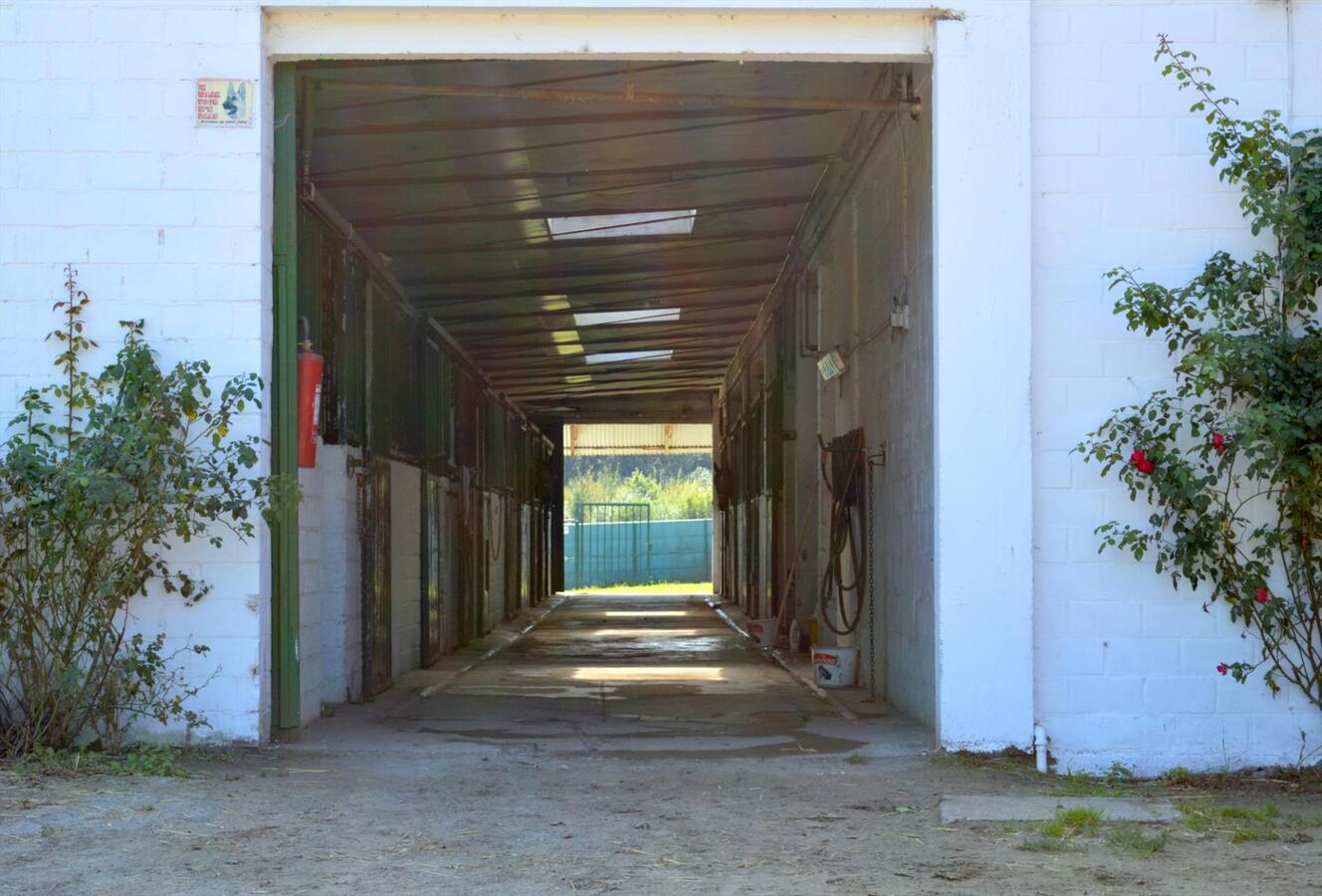 Paardenhouderij met 40 stallen en drafbaan op 4,64ha te Brakel 