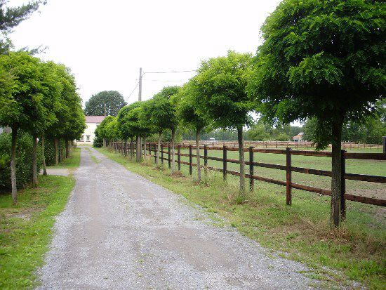 Ferme vendu À Balen