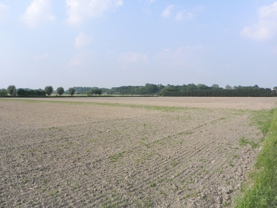 Grote langgevel hoeve met stallingen op ca. 1 ha 