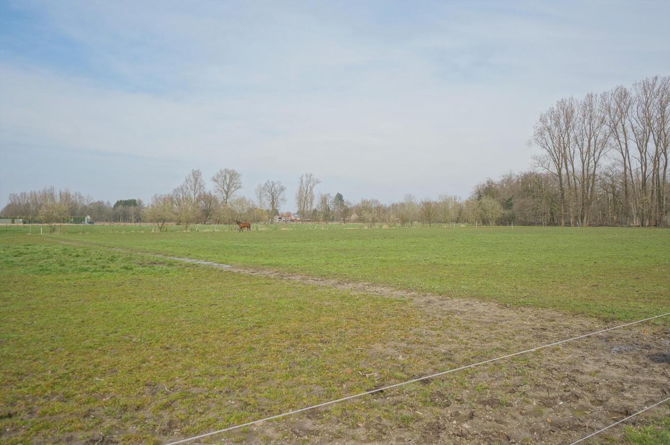 Hoeve met stallingen op ca. 2 ha te Ramsel 