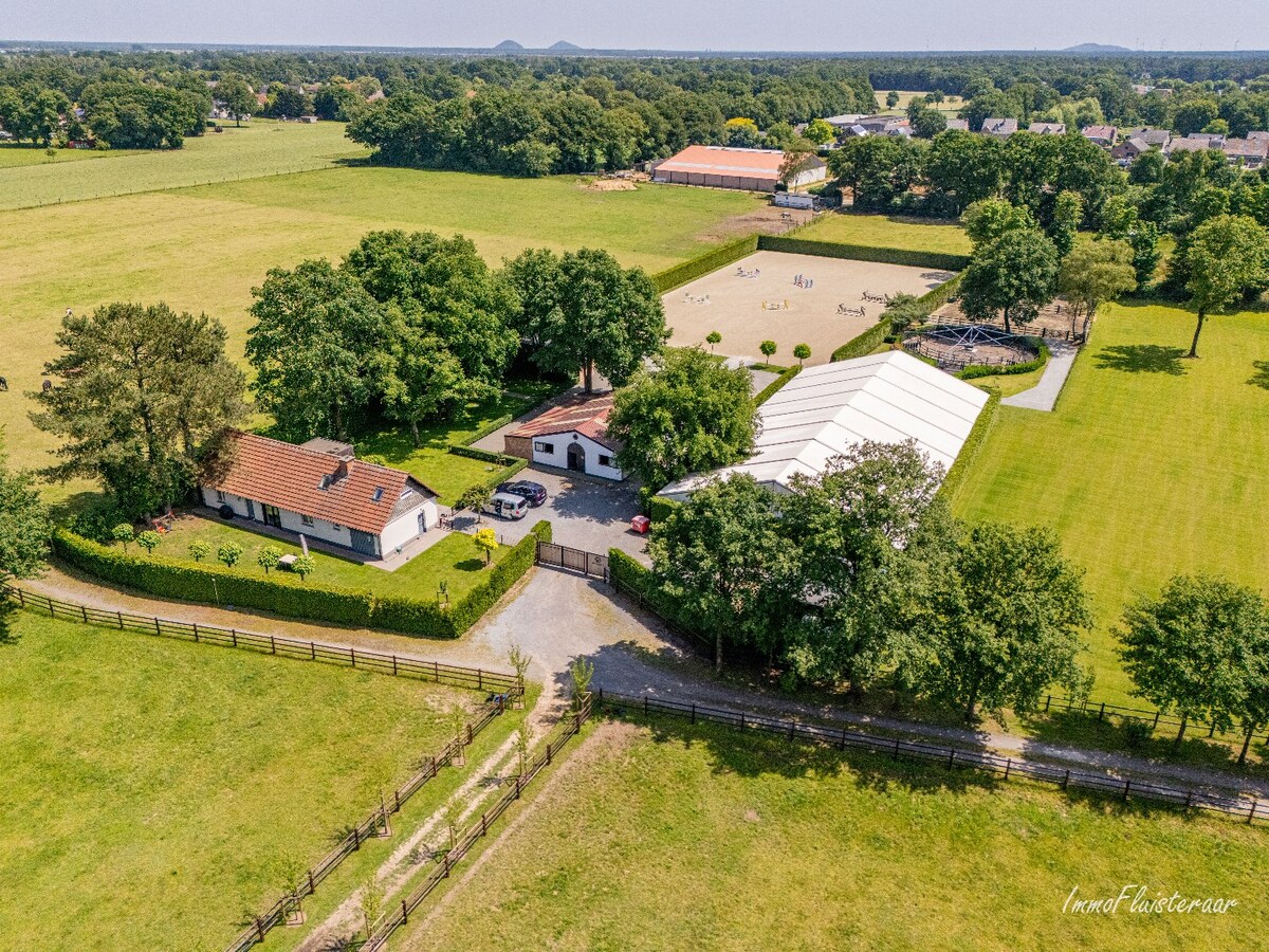 Complete horse accommodation on approximately 3.5 hectares in Helchteren 