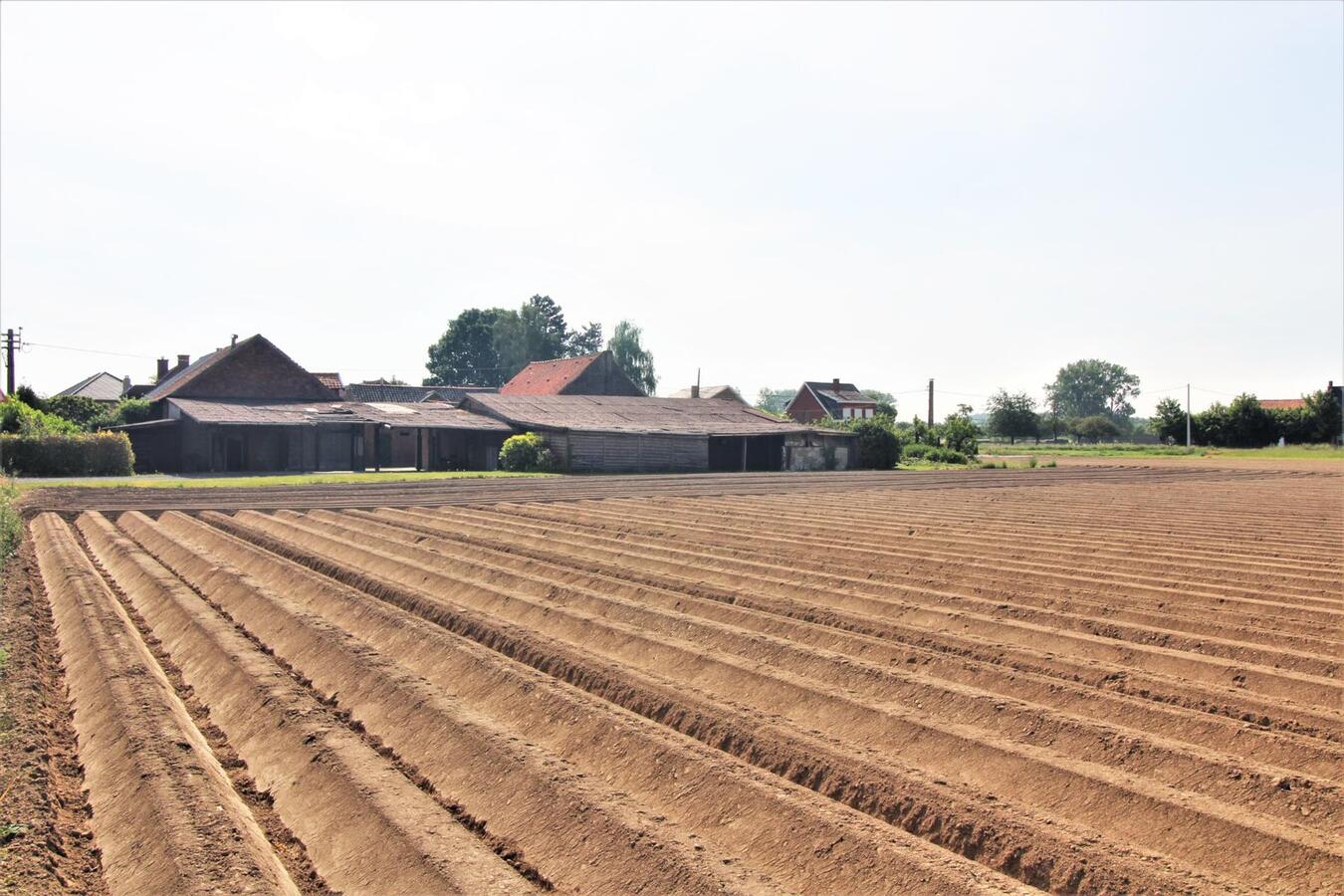 IN OPTIE - Charmante te renoveren boerderij met weiland op ca. 2,63ha te Merchtem en Londerzeel (Vlaams-Brabant) 