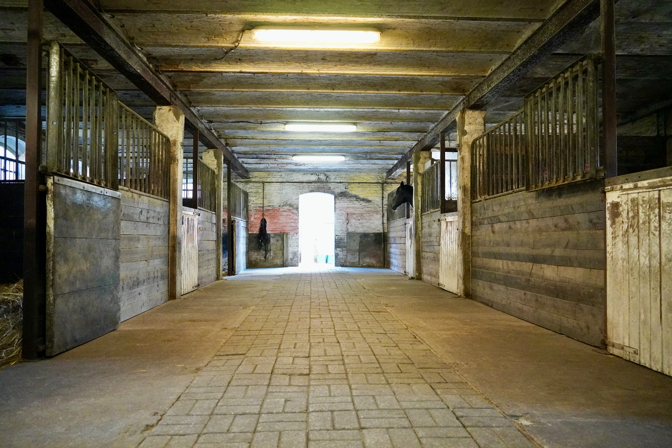 Charmante hoeve met paardenstallen en aanhorigheden op  ca. 15 Ha te Poppel 