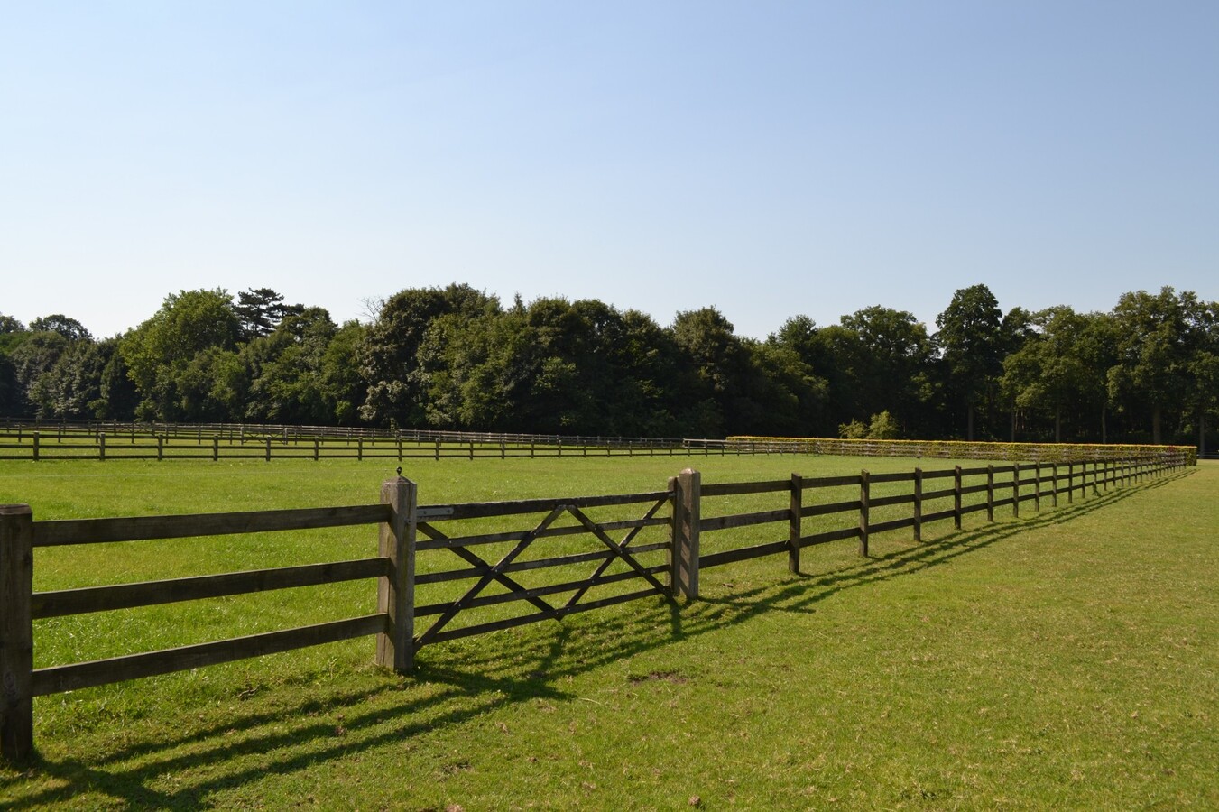 Farm sold in Hansbeke